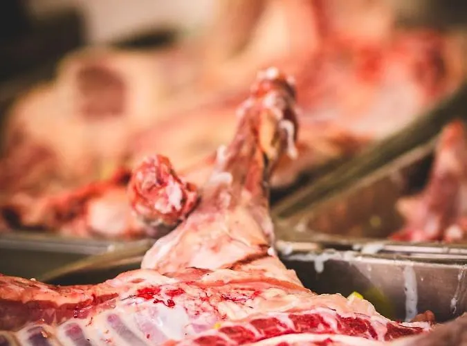 La Sabina Castillejo de Robledo